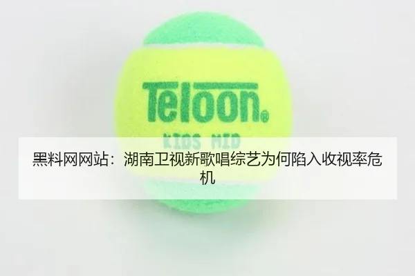 hei-liao-wang-wang-zhan-hu-nan-wei-shi-xin-ge-chang-zong-yi-wei-he-xian-ru-shou-shi-lv-wei-ji-2-746.jpg